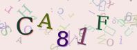 Visual Confirmation Security Code