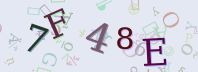 Visual Confirmation Security Code