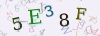 Visual Confirmation Security Code