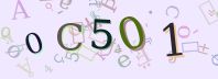 Visual Confirmation Security Code