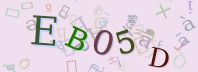 Visual Confirmation Security Code