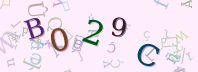 Visual Confirmation Security Code