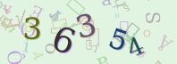 Visual Confirmation Security Code