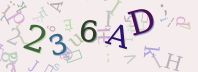 Visual Confirmation Security Code