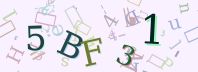 Visual Confirmation Security Code