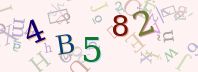 Visual Confirmation Security Code