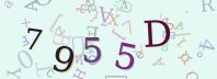 Visual Confirmation Security Code