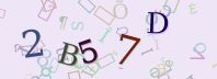 Visual Confirmation Security Code
