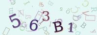 Visual Confirmation Security Code