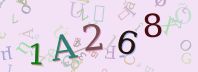 Visual Confirmation Security Code